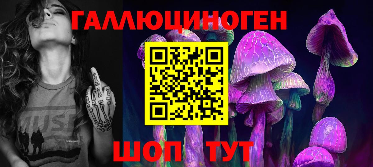 Новоалександровск  Псилоцибиновые грибы Psilocybine cubensis  Вход с VPN 
